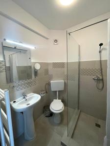 a bathroom with a toilet and a sink and a shower at Din Natura in Vărbilău +97 photos
