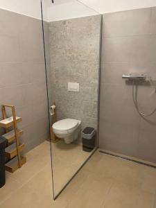 La salle de bains est pourvue de toilettes et d'une cabine de douche en verre. dans l'établissement MiMa, à Košice