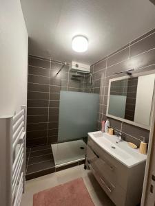 y baño con lavabo, espejo y ducha. en EGLANTINE 14 APPARTEMENT CENTRE HISTORIQUE DE DINAN, en Dinan