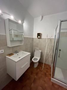 Kúpeľňa v ubytovaní T3 au coeur de la vieille ville de Porto-Vecchio