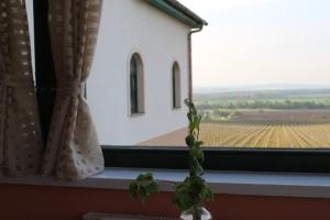 Fotografia z galérie ubytovania Hotel Vinohrad v destinácii Milotice
