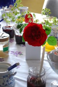 una mesa con una flor roja en un jarrón blanco en Hof Klostermann, en Hessisch Oldendorf