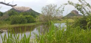 Paesaggio naturale nelle vicinanze della stanza in casa privata