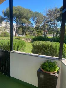 Zahrada ubytování Apartman Zadar Centar(free parking and wi-fi)