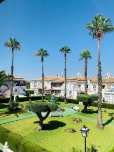 um parque com palmeiras em frente a um resort em Apartamento Agua Rosa em Torrevieja