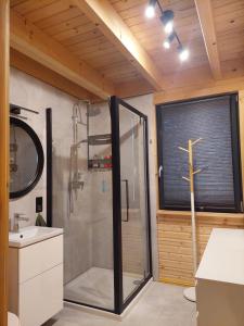 een badkamer met een douche, een wastafel en een spiegel bij Pauza Drzewoszewo - Dom nad jeziorem 