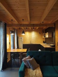 Dapur atau dapur kecil di Pauza Drzewoszewo - Dom nad jeziorem