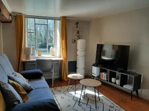 sala de estar con sofá azul y TV en Dans moulin au bord de l'eau, Appartement chaleureux en Saint-Pryvé-Saint-Mesmin