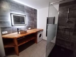 a bathroom with a sink and a washing machine at Maison tout confort in La Voivre