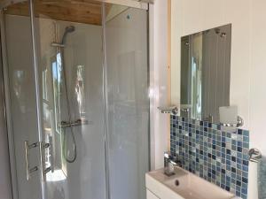 a bathroom with a shower and a sink and a mirror at Cosy Shepherd Huts and Cabin near Newborough, Anglesey in Gaerwen +30 photos