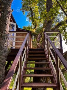 una rampa di scale che porta a una casa sull'albero di Strazdu Ligzda Off grid treehouse a Meņģele