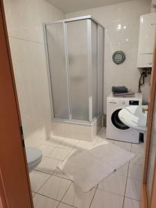 ein Bad mit einer Dusche, einem WC und einem Waschbecken in der Unterkunft Ferienhaus Kranichnest in Barth