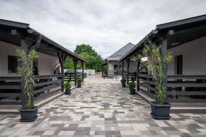 a corridor of a building with potted plants on it at Napsugár & Virág Apartman 4 csillagos in Tiszafüred