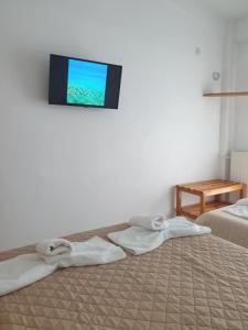 a room with two beds and a tv on the wall at PANSION ALEXANDROS BY THE SEA in Nea Skioni