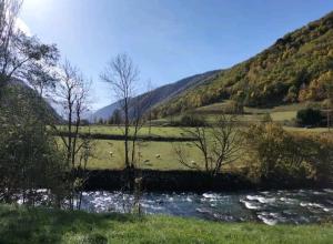 Príroda v okolí apartmánu + 9 fotografií