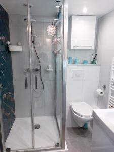 a bathroom with a shower and a toilet at Appartement Marina magnifique vue in Deauville