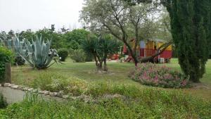 een tuin met planten en bloemen in een park bij Mas Maurane - Le Bougainvillier aux portes d'ARLES in Tarascon