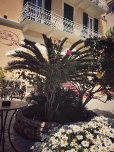 uma palmeira e flores em frente a um edifício em Hotel Villa Igea em Alassio