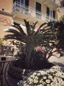 a palm tree and flowers in front of a building at Hotel Villa Igea in Alassio