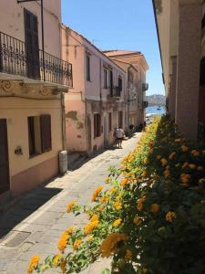 ラ・マッダレーナにあるLa casa Al Portoの黄色い花々の並木道