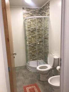 a bathroom with a toilet and a glass shower at Los Amancay del Otto in San Carlos de Bariloche