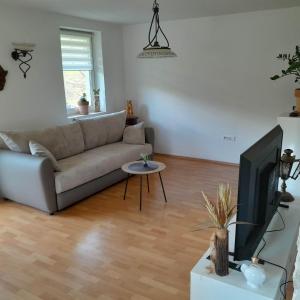 a living room with a couch and a television at Nice Apartment near by Capital of Slovenia in Ljubljana
