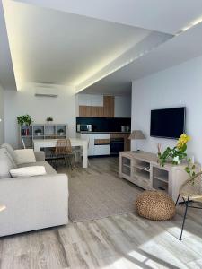 a living room with a couch and a tv at Apartment Paseo in Aguadulce