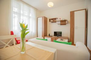 Μια τηλεόραση ή/και κέντρο ψυχαγωγίας στο Molnár 20 Apartment