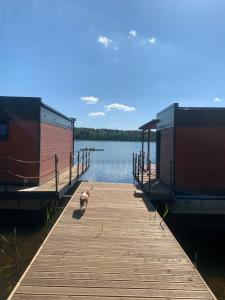 a dog standing on a dock next to a body of water at "C" Domki na wodzie Barczewko 3 z 4 domków in Barczewko +24 photos