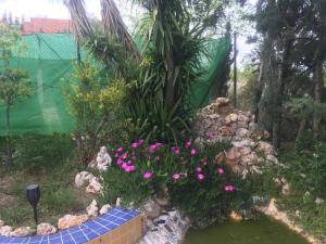 Fotografia z galérie ubytovania Casa Rural en Las Nieves v destinácii Las Nieves