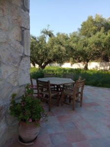 a patio with a table and chairs and a plant at Olive Trees in Tragaki
