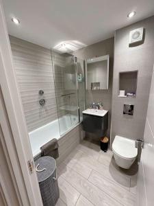 a bathroom with a toilet and a shower and a sink at Luxury Flat Near Greenwich Park in London