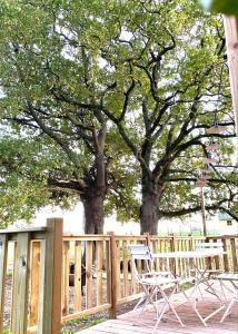 2 chaises et 2 arbres sur une terrasse en bois dans l'établissement Gites De L'Etang Des Noues, à Cholet