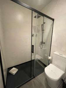 a bathroom with a shower and a toilet at Porto Suites do Marquês in Porto