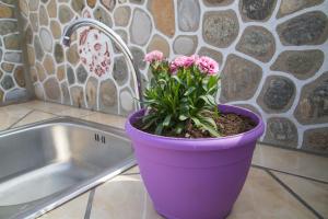 a purple potted plant sitting next to a sink at Ntina's Hause in Chaïdeftón