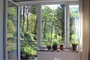 Art house Tufi في Bistrica ob Sotli: نافذة مع نباتات الفخار على حافة النافذة