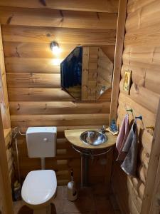 La petite salle de bains est pourvue d'un lavabo et de toilettes. dans l'établissement Blockhaus Rennsteig, à Neuhaus am Rennweg