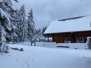 une cabane en rondins dans la neige avec des arbres dans l'établissement Blockhaus Rennsteig, à Neuhaus am Rennweg
