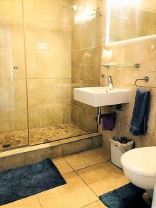 a bathroom with a shower and a sink and a toilet at Aquarella 1 in Plettenberg Bay