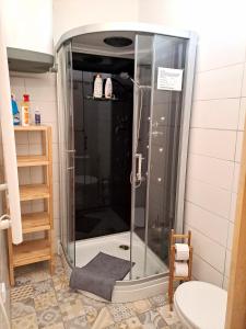 eine Dusche mit Glastür im Bad in der Unterkunft Magnificent apartment in the center of Prague in Prag