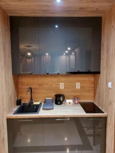 a kitchen with a sink and a counter top at Elite-stan na dan in Berane