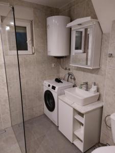 a bathroom with a washing machine and a sink at Elite-stan na dan in Berane