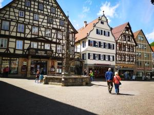 a group of people walking in a town square with a fountain at Lived-In Appartement in Bad Urach