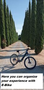 Jazda na bicykli v okolí ubytovania Rocca degli Olivi