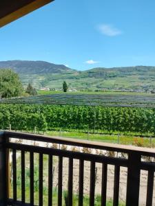 - un balcon avec vue sur un vignoble dans l'établissement Agritur Lavanda, à Nave San Rocco