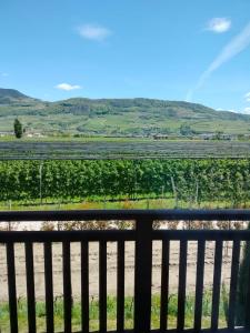 een uitzicht op een veld vanaf een hek bij Agritur Lavanda in Nave San Rocco