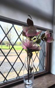 Foto sihtkohas Carlow asuva majutusasutuse The Wandering Donkey Guest House galeriist