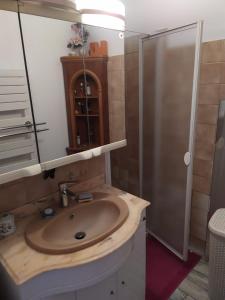 y baño con lavabo y ducha. en Maison chaleureuse, en Saint-Jean-dʼAngély