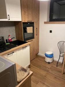 Przy Błoniach في شتتين: مطبخ مع حوض وموقد الفرن العلوي