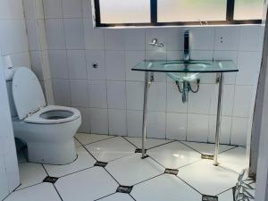 a bathroom with a toilet and a glass sink at Palm Heaven B&B in East London